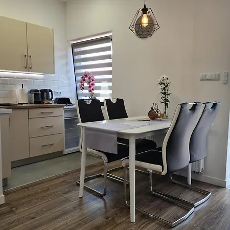 Apartamenty Belska Centrum Ustrzyki Dolne Exterior photo